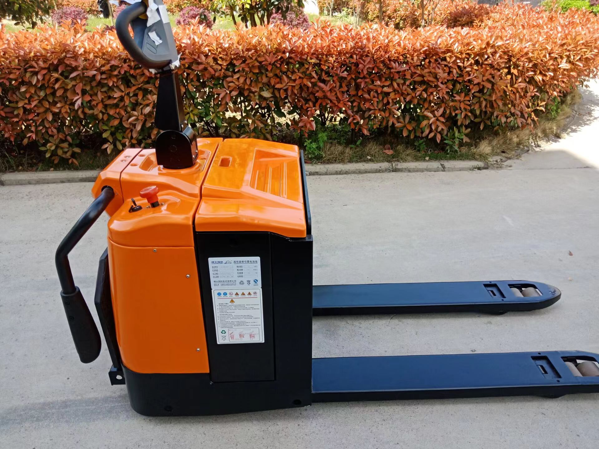 3000kg 3 ton elektrische handp - Electric Pallet Jack recensie en prijs